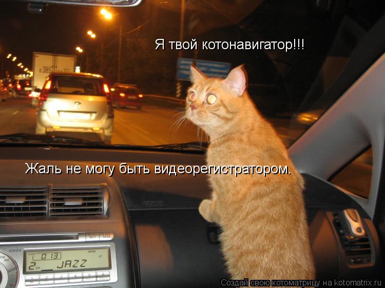Я твой котонавигатор!!! Жаль не могу быть видеорегистратором.... Котоматрица: Я твой котонавигатор!!! Жаль не могу быть видеорегистратором.