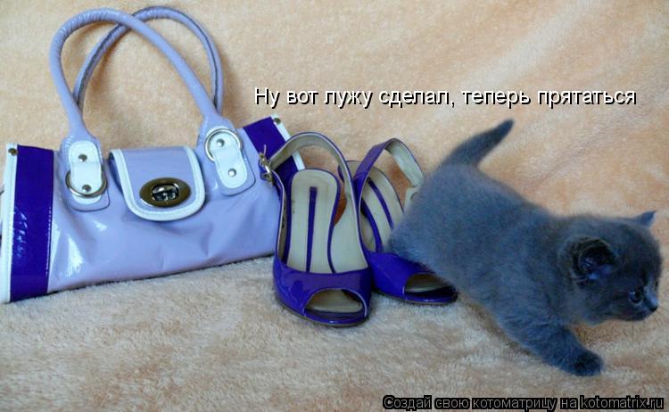 Ну вот лужу сделал, теперь прятаться... Котоматрица: Ну вот лужу сделал, теперь прятаться