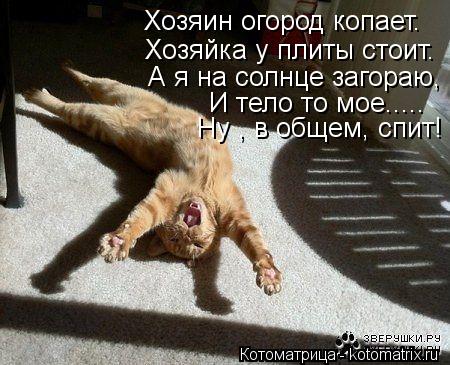 Хозяин огород копает. Хозяйка у плиты стоит. А я на солнце загораю, И тело то мое..... Ну , в общем, ... Котоматрица: Хозяин огород копает. Хозяйка у плиты стоит. А я на солнце загораю, И тело то мое..... Ну , в общем, спит!