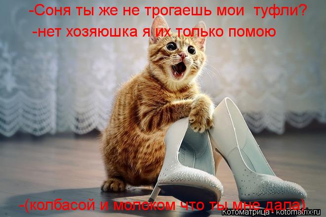 -(колбасой и молоком что ты мне дала) -нет хозяюшка я их только помою -Соня ты же не трогаешь мои ту... Котоматрица: -(колбасой и молоком что ты мне дала) -нет хозяюшка я их только помою -Соня ты же не трогаешь мои туфли?