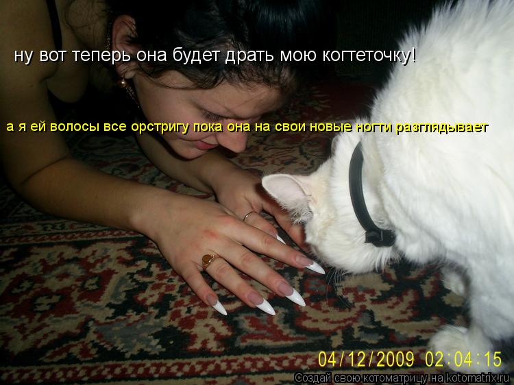 ну вот теперь она будет драть мою когтеточку! а я ей волосы все орстригу пока она на свои новые ногти... Котоматрица: ну вот теперь она будет драть мою когтеточку! а я ей волосы все орстригу пока она на свои новые ногти разглядывает