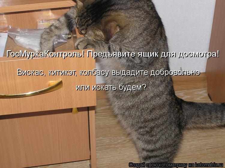 ГосМуркаКонтроль! Предъявите ящик для досмотра! Вискас, китикэт Вискас, китикэт, колбасу выдадите доб... Котоматрица: ГосМуркаКонтроль! Предъявите ящик для досмотра! Вискас, китикэт Вискас, китикэт, колбасу выдадите добровольно или искать будем?