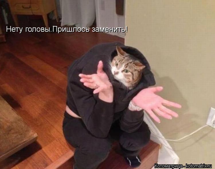 Нету головы.Пришлось заменить!... Котоматрица: Нету головы.Пришлось заменить!