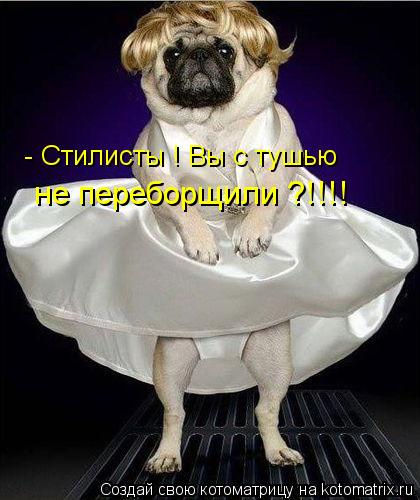 - Стилисты ! Вы с тушью не переборщили ?!!!!... Котоматрица: - Стилисты ! Вы с тушью не переборщили ?!!!!