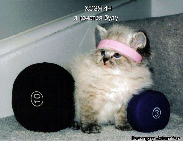 ХОЗЯИН я кочатся буду... Котоматрица: ХОЗЯИН я кочатся буду