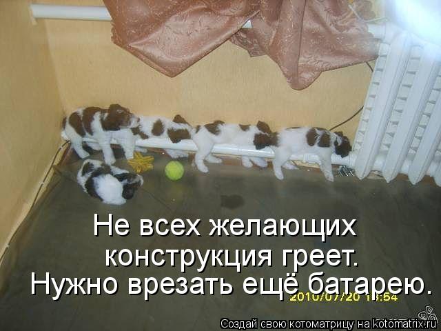 Нужно врезать ещё батарею. Не всех желающих конструкция греет.... Котоматрица: Нужно врезать ещё батарею. Не всех желающих конструкция греет.