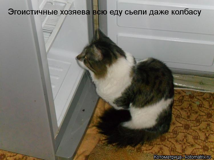 Эгоистичные хозяева всю еду сьели даже колбасу... Котоматрица: Эгоистичные хозяева всю еду сьели даже колбасу