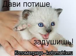 Дави потише, задушишь!... Котоматрица: Дави потише, задушишь!