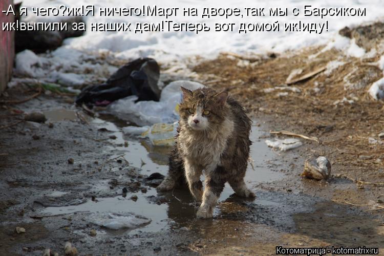 -А я чего?ик!Я ничего!Март на дворе,так мы с Барсиком ик!выпили за наших дам!Теперь вот домой ик!иду... Котоматрица: -А я чего?ик!Я ничего!Март на дворе,так мы с Барсиком ик!выпили за наших дам!Теперь вот домой ик!иду!