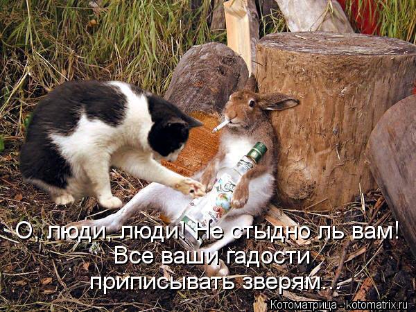 О, люди, люди! Не стыдно ль вам! Все ваши гадости приписывать зверям...... Котоматрица: О, люди, люди! Не стыдно ль вам! Все ваши гадости приписывать зверям...