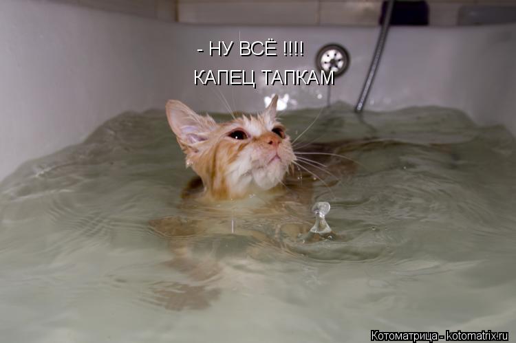 Котоматрица: - НУ ВСЁ !!!! КАПЕЦ ТАПКАМ