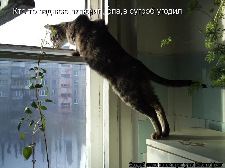 Кто то заднюю включил, опа,в сугроб угодил.... Котоматрица: Кто то заднюю включил, опа,в сугроб угодил.