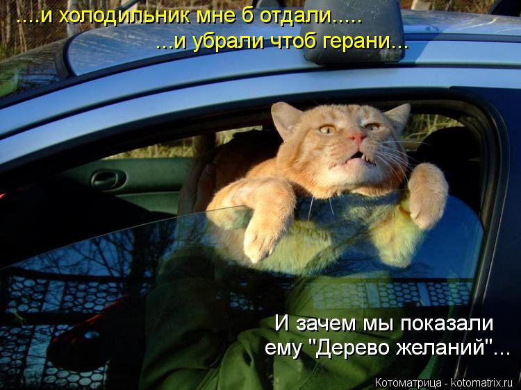 ....и холодильник мне б отдали..... ...и убрали чтоб герани... И зачем мы показали ему "Дерево желани... Котоматрица: ....и холодильник мне б отдали..... ...и убрали чтоб герани... И зачем мы показали ему "Дерево желаний"...