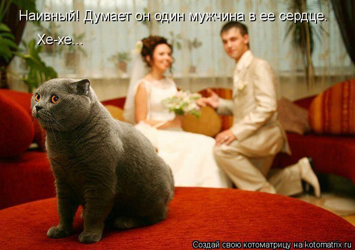Наивный! Думает он один мужчина в ее сердце. Хе-хе...... Котоматрица: Наивный! Думает он один мужчина в ее сердце. Хе-хе...