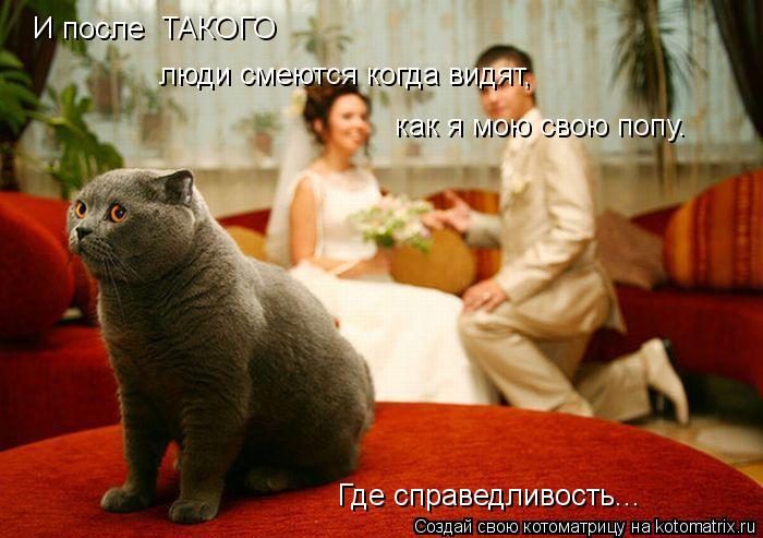 И после ТАКОГО люди смеются когда видят, как я мою свою попу. Где справедливость...... Котоматрица: И после ТАКОГО люди смеются когда видят, как я мою свою попу. Где справедливость...