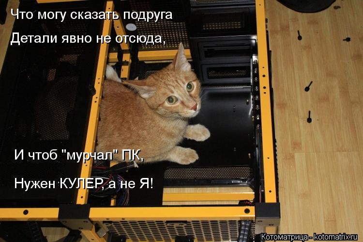 Что могу сказать подруга Детали явно не отсюда, И чтоб "мурчал" ПК, Нужен КУЛЕР, а не Я!... Котоматрица: Что могу сказать подруга Детали явно не отсюда, И чтоб "мурчал" ПК, Нужен КУЛЕР, а не Я!