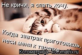 Не кричи, я спать хочу. Когда завтрак приготовишь, неси меня к тарелке.... Котоматрица: Не кричи, я спать хочу. Когда завтрак приготовишь, неси меня к тарелке.