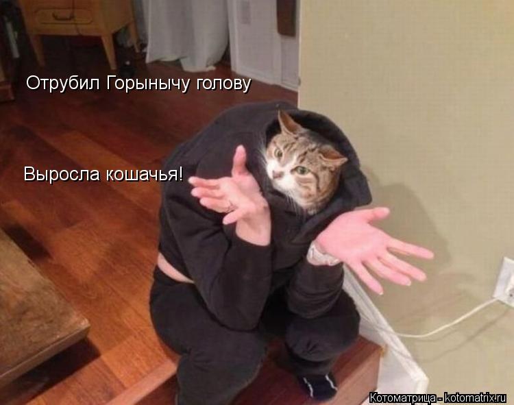 Отрубил Горынычу голову Выросла кошачья!... Котоматрица: Отрубил Горынычу голову Выросла кошачья!