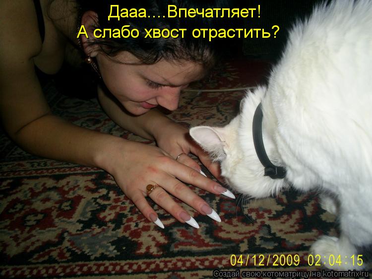 Котоматрица: Дааа....Впечатляет! А слабо хвост отрастить?