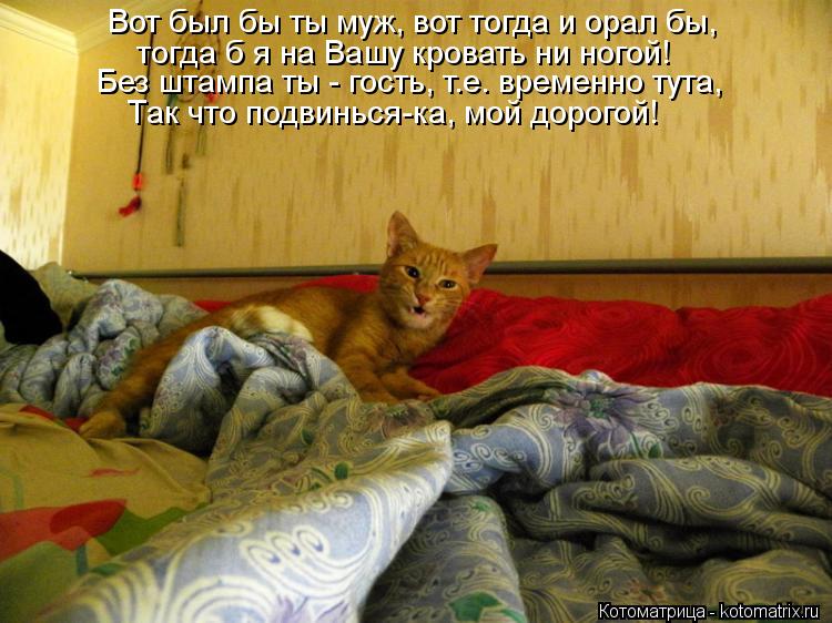Вот был бы ты муж, вот тогда и орал бы, тогда б я на Вашу кровать ни ногой! Без штампа ты - гость, т.... Котоматрица: Вот был бы ты муж, вот тогда и орал бы, тогда б я на Вашу кровать ни ногой! Без штампа ты - гость, т.е. временно тута, Так что подвинься-ка, мой до