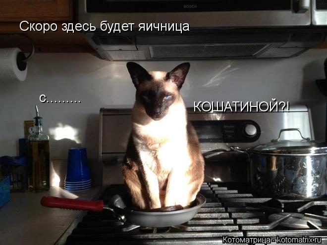 Скоро здесь будет яичница с......... КОШАТИНОЙ?!... Котоматрица: Скоро здесь будет яичница с......... КОШАТИНОЙ?!