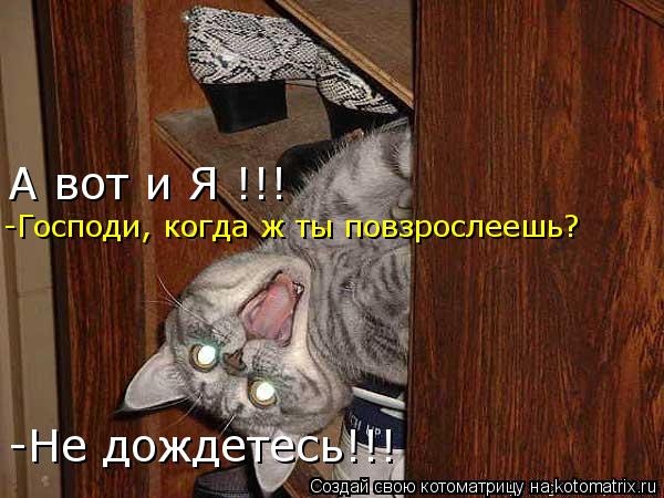 А вот и Я !!! -Господи, когда ж ты повзрослеешь? -Не дождетесь!!!... Котоматрица: А вот и Я !!! -Господи, когда ж ты повзрослеешь? -Не дождетесь!!!