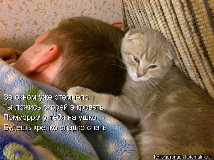 За окном уже стемнело Ты ложись скорей в кровать Помуррррчу тебя на ушко Будешь крепко сладко спать... Котоматрица: За окном уже стемнело Ты ложись скорей в кровать Помуррррчу тебя на ушко Будешь крепко сладко спать