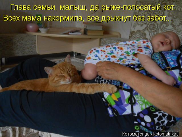 Глава семьи, малыш, да рыже-полосатый кот. Всех мама накормила, все дрыхнут без забот...... Котоматрица: Глава семьи, малыш, да рыже-полосатый кот. Всех мама накормила, все дрыхнут без забот...