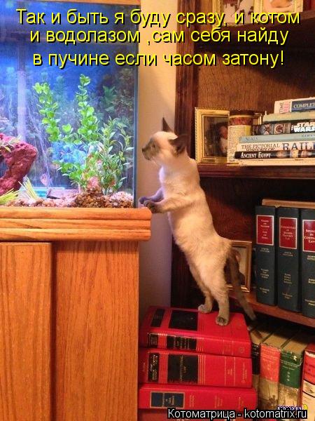 Так и быть я буду сразу, и котом и водолазом ,сам себя найду в пучине если часом затону!... Котоматрица: Так и быть я буду сразу, и котом и водолазом ,сам себя найду в пучине если часом затону!