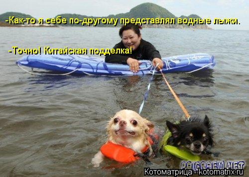 -Как-то я себе по-другому представлял водные лыжи. -Точно! Китайская подделка!... Котоматрица: -Как-то я себе по-другому представлял водные лыжи. -Точно! Китайская подделка!