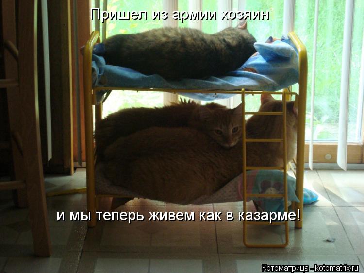 Пришел из армии хозяин и мы теперь живем как в казарме!... Котоматрица: Пришел из армии хозяин и мы теперь живем как в казарме!