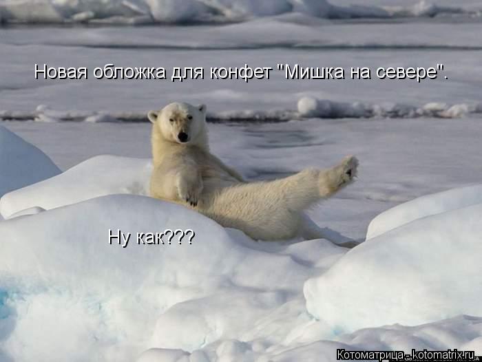 Новая обложка для конфет "Мишка на севере". Ну как???... Котоматрица: Новая обложка для конфет "Мишка на севере". Ну как???