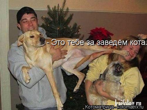 - Это тебе за заведём кота...... Котоматрица: - Это тебе за заведём кота...