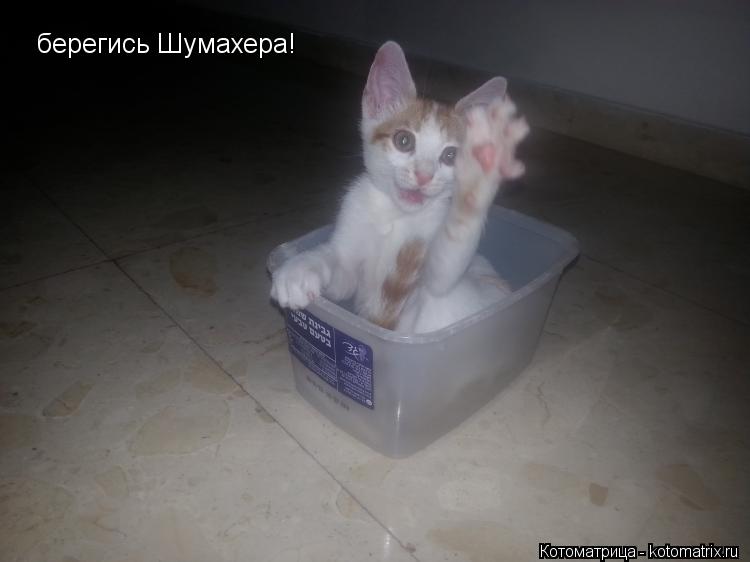 берегись Шумахера!... Котоматрица: берегись Шумахера!