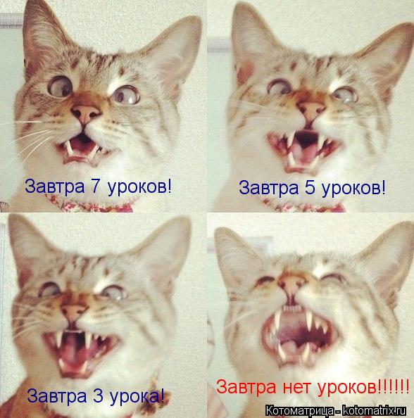 Завтра 7 уроков! Завтра 5 уроков! Завтра 3 урока! Завтра нет уроков!!!!!!... Котоматрица: Завтра 7 уроков! Завтра 5 уроков! Завтра 3 урока! Завтра нет уроков!!!!!!