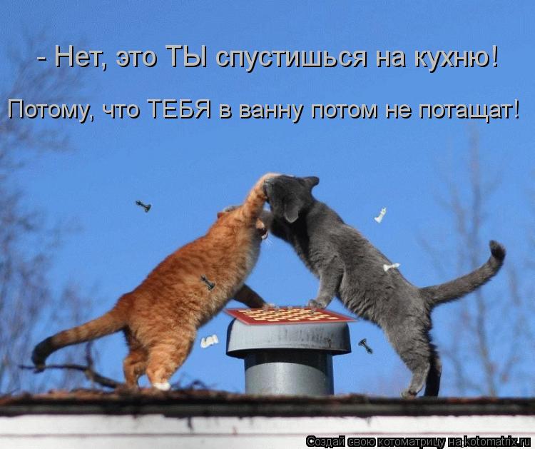- Нет, это ТЫ спустишься на кухню! Потому, что ТЕБЯ в ванну потом не потащат!... Котоматрица: - Нет, это ТЫ спустишься на кухню! Потому, что ТЕБЯ в ванну потом не потащат!