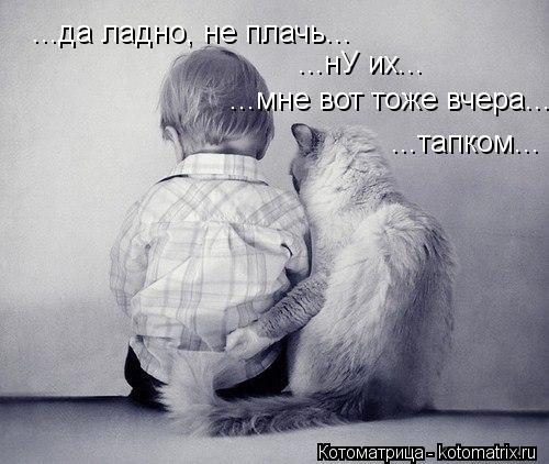 ...да ладно, не плачь... ...нУ их... ...мне вот тоже вчера... ...тапком...... Котоматрица: ...да ладно, не плачь... ...нУ их... ...мне вот тоже вчера... ...тапком...