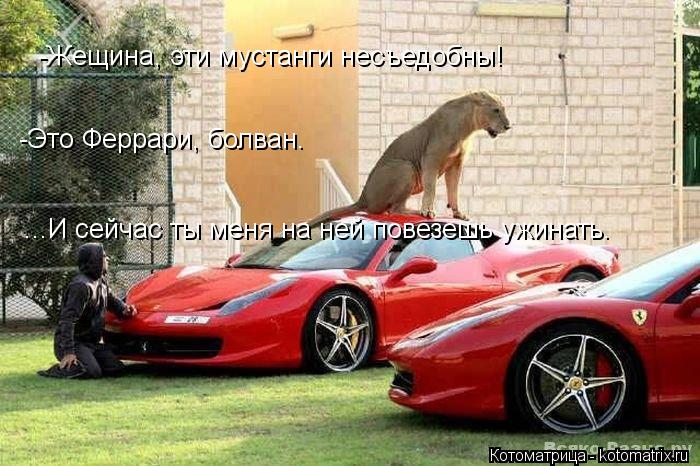 -Жещина, эти мустанги несъедобны! -Это Феррари, болван. ...И сейчас ты меня на ней повезешь ужинать.... Котоматрица: -Жещина, эти мустанги несъедобны! -Это Феррари, болван. ...И сейчас ты меня на ней повезешь ужинать.