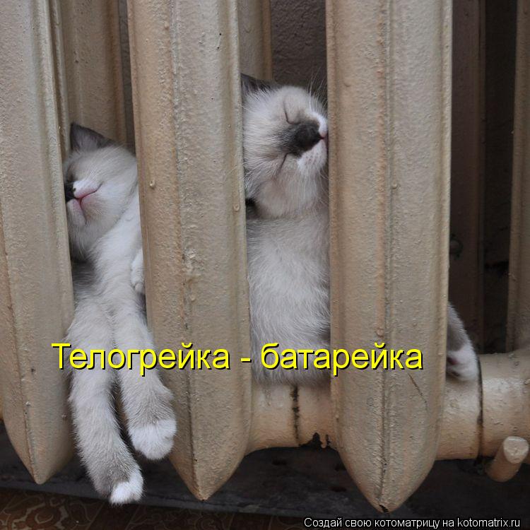 Телогрейка - батарейка... Котоматрица: Телогрейка - батарейка