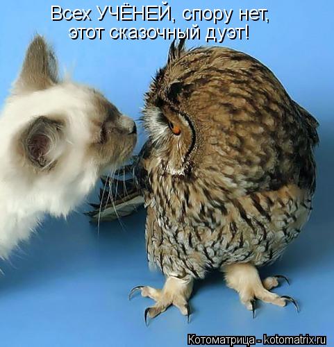 Всех УЧЁНЕЙ, спору нет, этот сказочный дуэт!... Котоматрица: Всех УЧЁНЕЙ, спору нет, этот сказочный дуэт!