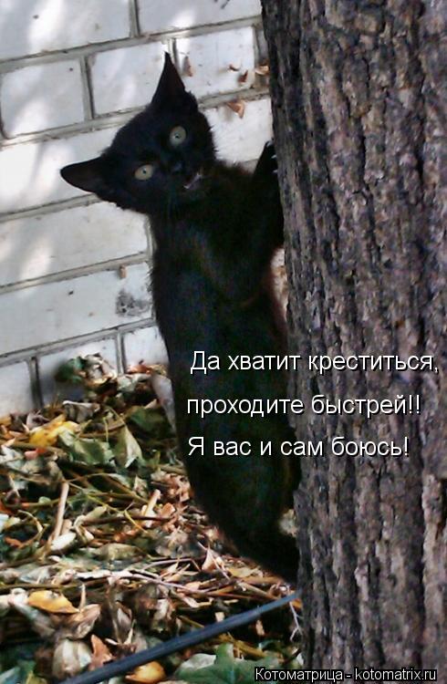 Да хватит креститься, проходите быстрей!! Я вас и сам боюсь!... Котоматрица: Да хватит креститься, проходите быстрей!! Я вас и сам боюсь!