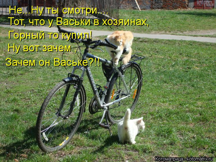 Не...Ну ты смотри.... Тот, что у Васьки в хозяинах, Горный то купил! Ну вот зачем , Зачем он Ваське?!... Котоматрица: Не...Ну ты смотри.... Тот, что у Васьки в хозяинах, Горный то купил! Ну вот зачем , Зачем он Ваське?!!