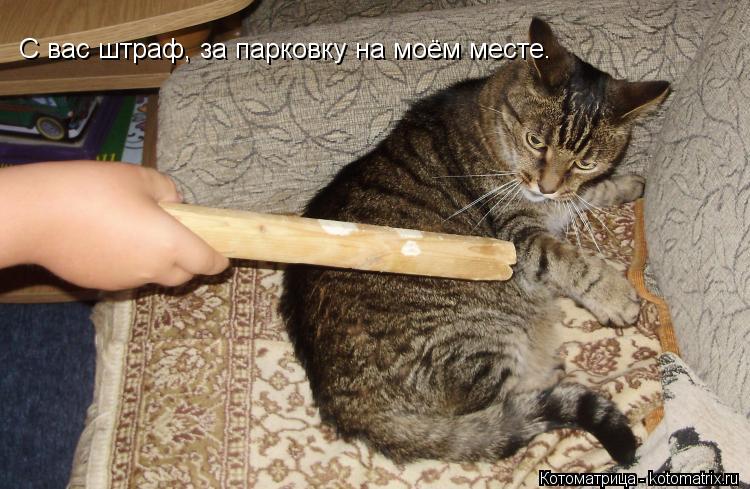 С вас штраф, за парковку на моём месте.... Котоматрица: С вас штраф, за парковку на моём месте.