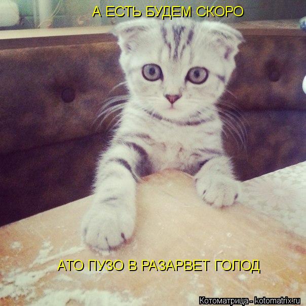 А ЕСТЬ БУДЕМ СКОРО АТО ПУЗО В РАЗАРВЕТ ГОЛОД А ЕСТЬ БУДЕМ СКОРО А ЕСТЬ БУДЕМ СКОРО А ЕСТЬ БУДЕМ СК... Котоматрица: А ЕСТЬ БУДЕМ СКОРО АТО ПУЗО В РАЗАРВЕТ ГОЛОД А ЕСТЬ БУДЕМ СКОРО А ЕСТЬ БУДЕМ СКОРО А ЕСТЬ БУДЕМ СКОРО