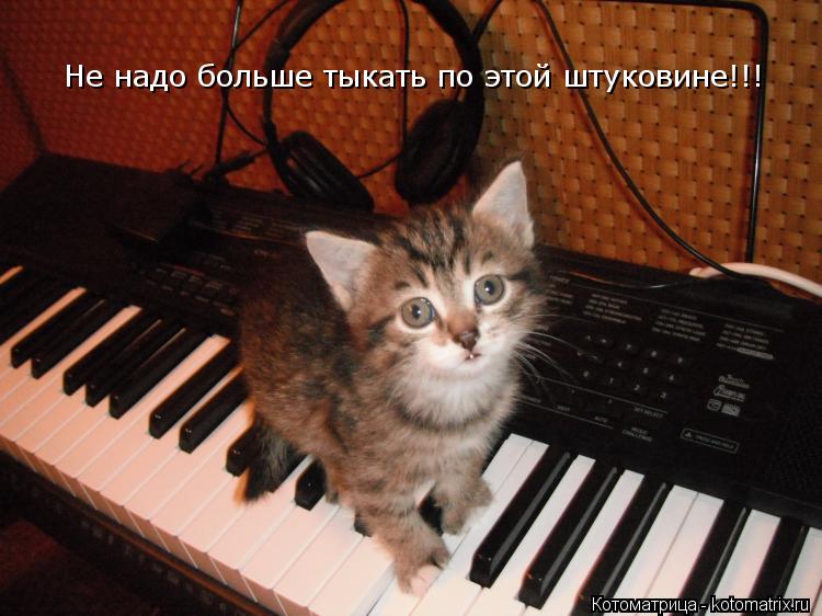 Не надо больше тыкать по этой штуковине!!!... Котоматрица: Не надо больше тыкать по этой штуковине!!!