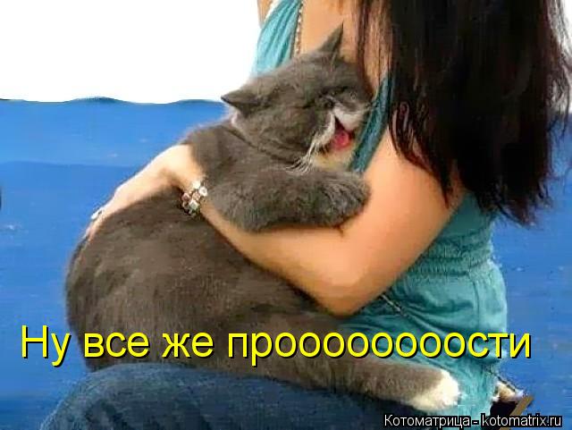 Ну все же проооооооости... Котоматрица: Ну все же проооооооости
