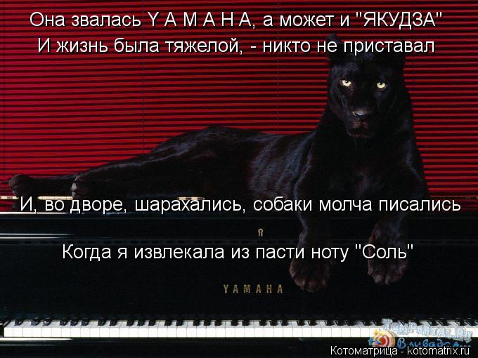 Она звалась Y A M A H A, а может и "ЯКУДЗА" И жизнь была тяжелой, - никто не приставал И, во дворе, ш... Котоматрица: Она звалась Y A M A H A, а может и "ЯКУДЗА" И жизнь была тяжелой, - никто не приставал И, во дворе, шарахались, собаки молча писались Когда я извлека