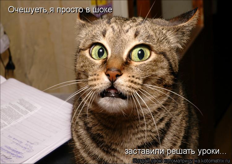 Очешуеть,я просто в шоке заставили решать уроки...... Котоматрица: Очешуеть,я просто в шоке заставили решать уроки...