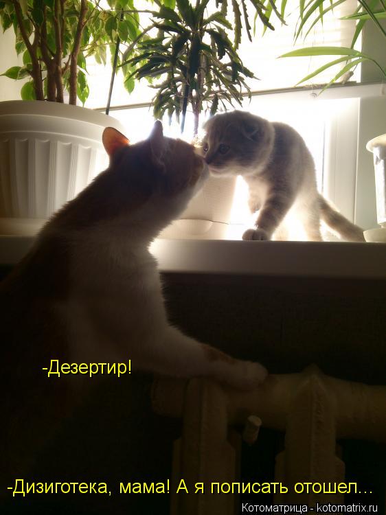 -Дизиготека, мама! А я пописать отошел... -Дезертир!... Котоматрица: -Дизиготека, мама! А я пописать отошел... -Дезертир!