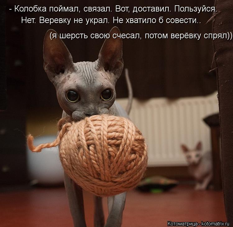 - Колобка поймал, связал. Вот, доставил. Пользуйся. Нет. Веревку не украл. Не хватило б совести.. (я ... Котоматрица: - Колобка поймал, связал. Вот, доставил. Пользуйся. Нет. Веревку не украл. Не хватило б совести.. (я шерсть свою счесал, потом верёвку спрял))